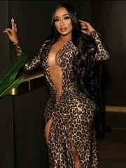 Leopard Love Dress